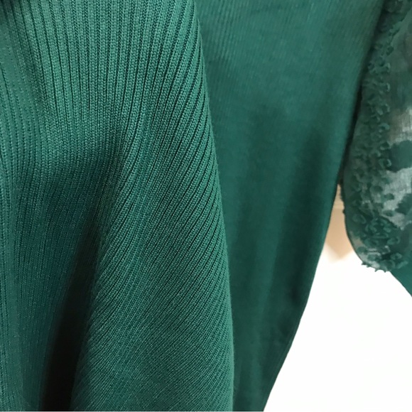 Hunter Green Sweater Dress 4X, Long Sleeve Swiss Dot Sheer Sleeve, Stretch Knit - Picture 14 of 14